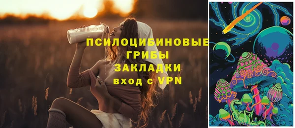 apvp Алексеевка