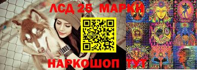 прущие грибы Можайск