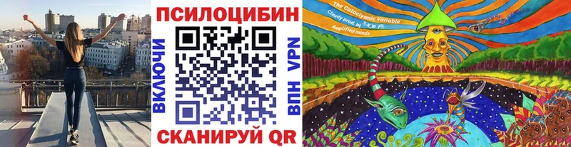 Псилоцибиновые грибы MAGIC MUSHROOMS  Чернушка 